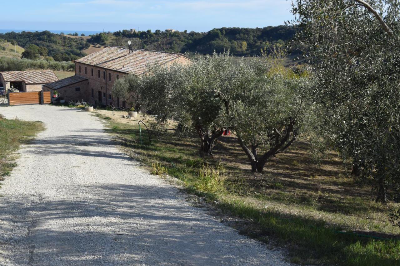 Monna Terra B&B Fermo megye Kültér fotó