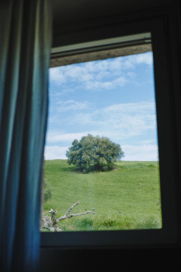Monna Terra B&B Fermo megye Kültér fotó